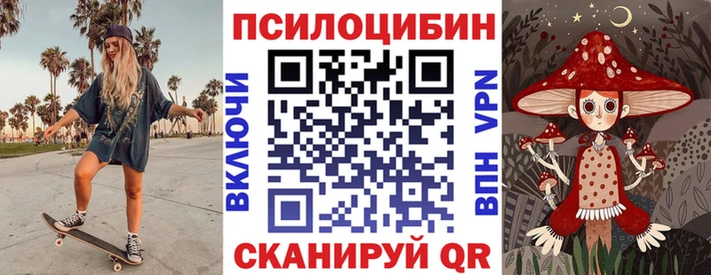 Купить где  Великий Новгород  Псилоцибиновые грибы мицелий 