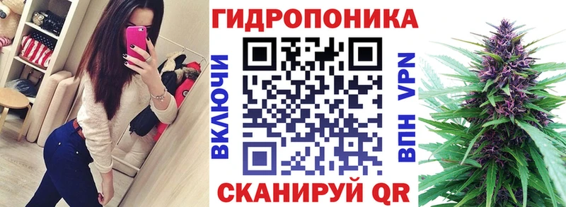 Купить закладки  Великий Новгород  МАРИХУАНА THC 21% 